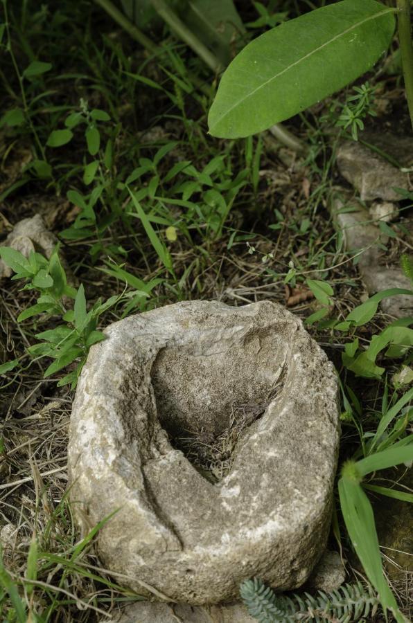 Апартаменти Egrelato Vendeghaz Балатонакалі Екстер'єр фото